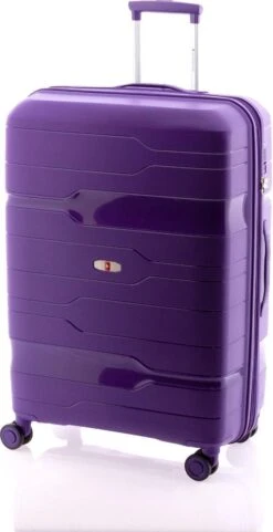 Gladiator Boxing L Spinner 77 - Exp - TSA Slot - Paars